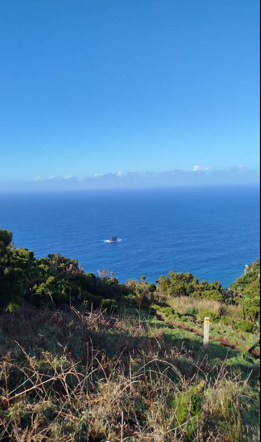 Ilhéu do Monchique